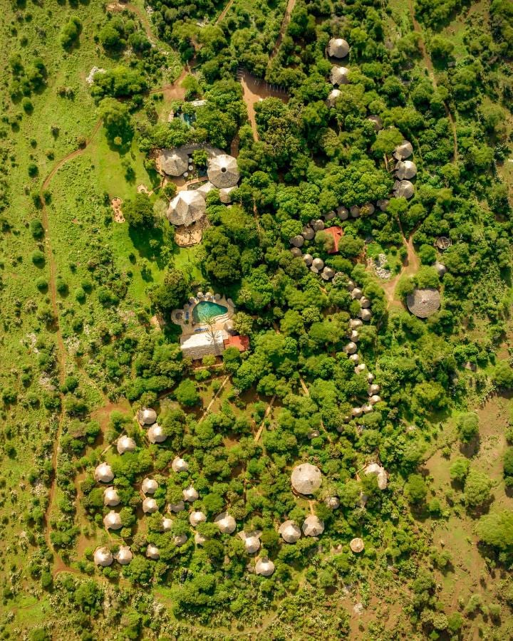 The round thatched roofs of the lodge seen from the air, scattered through the green bush