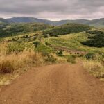 A red dirt track runs down between tall golden grass toward green hills rolling to the horizon under a gray sky