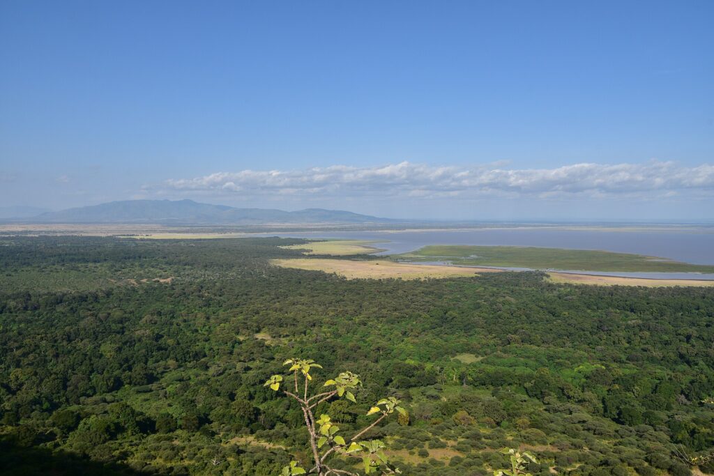 View down from the escarpment over the green forest, the plain and Lake Manyara in the distance