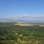 View down from the escarpment over the green forest, the plain and Lake Manyara in the distance