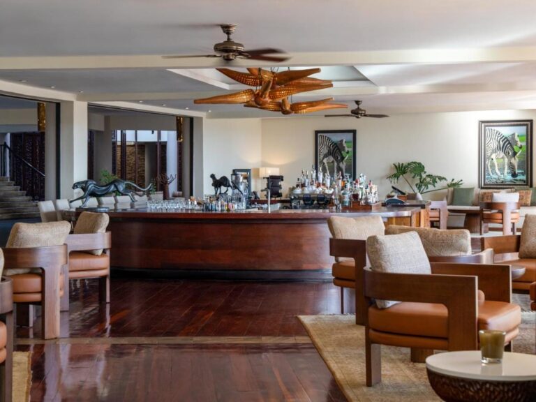 A bar with a curved wooden counter, leather armchairs and two paintings of zebras