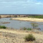 The Galana River, wide and brown, curves between pale sandbanks and bushes, under a hazy sky