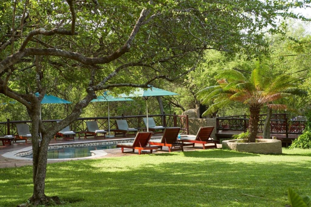 The pool of Grand Kruger Lodge in a shady garden, surrounded by wooden loungers and turquoise umbrellas