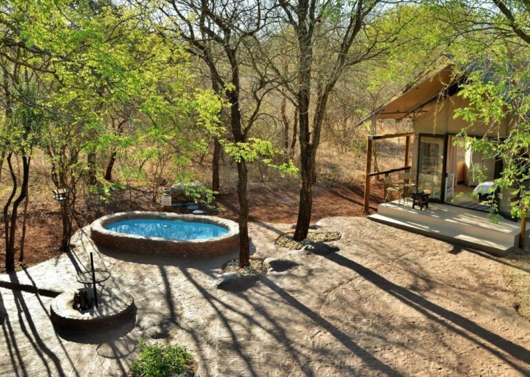 A tent among the trees, with its deck, its round pool and its barbecue fire pit