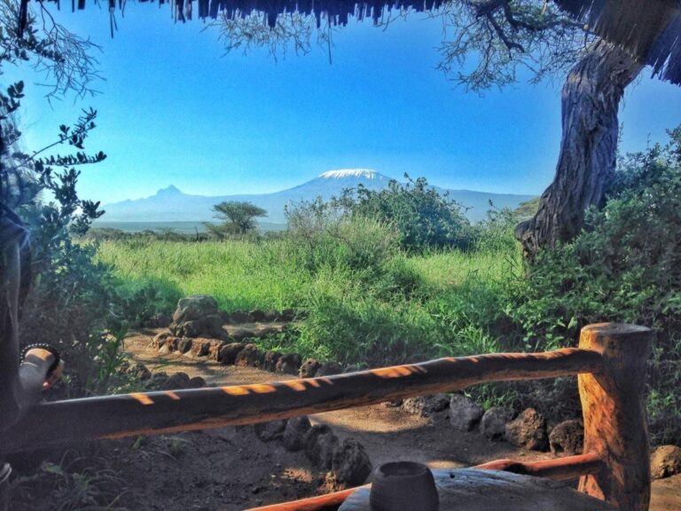 The snowy summit of Kilimanjaro above the green savanna, behind a wooden fence