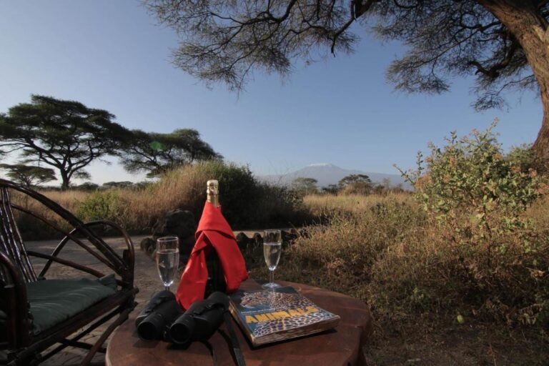 Binoculars, a wildlife book and two flute glasses on a table, facing the acacias and Kilimanjaro