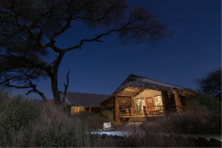 A tent under its thatched roof, lit up at night under a starry sky