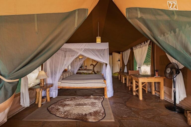 A tent seen from its entrance, with a bed under a mosquito net, a desk and a fan