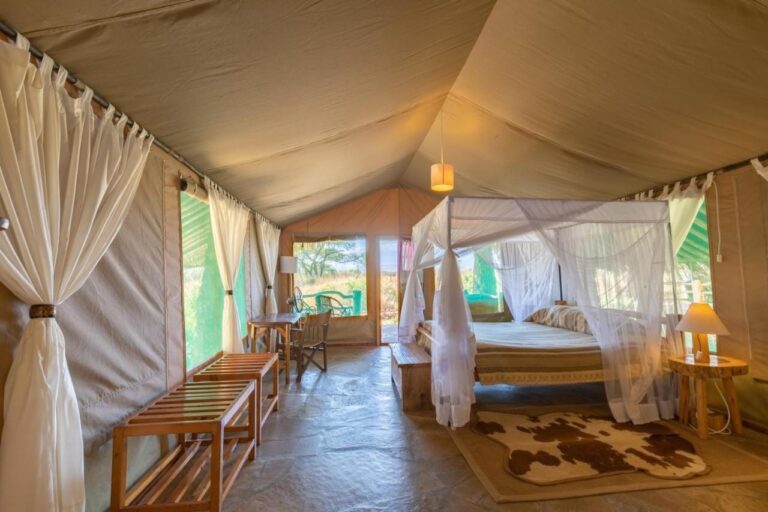 A long tent with two luggage racks, a desk and a bed under a mosquito net