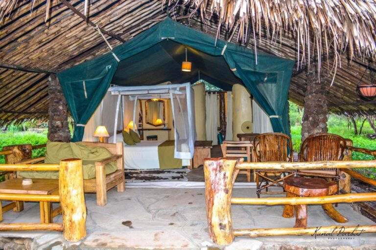 The entrance to a Kibo Safari Camp tent under a thatched roof, with its terrace and wooden armchairs