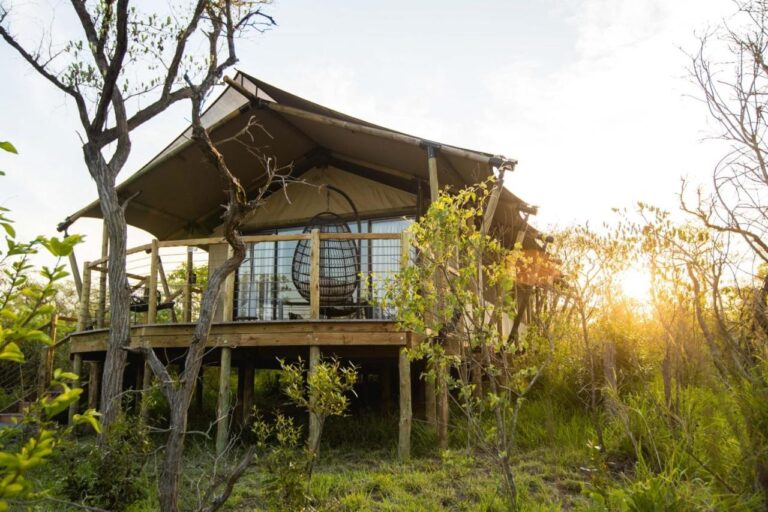 A luxury tent on stilts in the bush, with a hanging chair on its deck, in the low sun