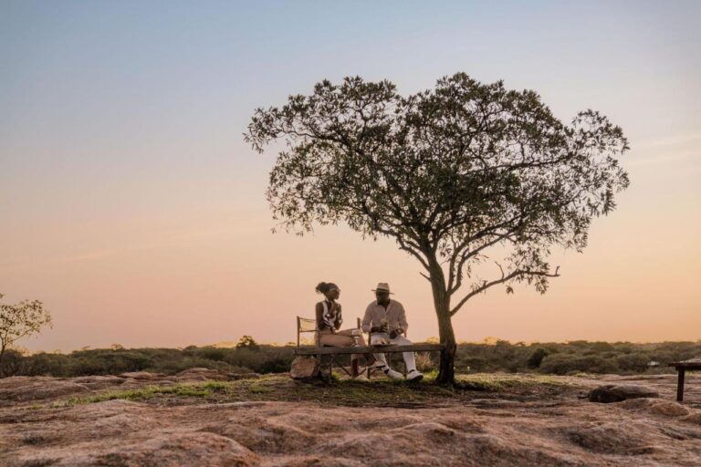 A couple sitting on a bench under a tree, on a rock slab, under a pink sky