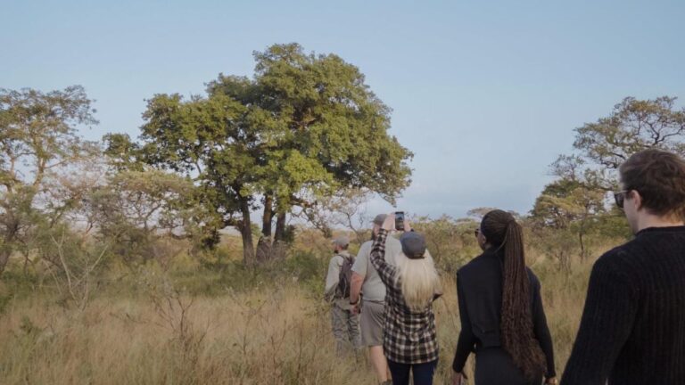 A walk through tall grass, behind a guide in khaki
