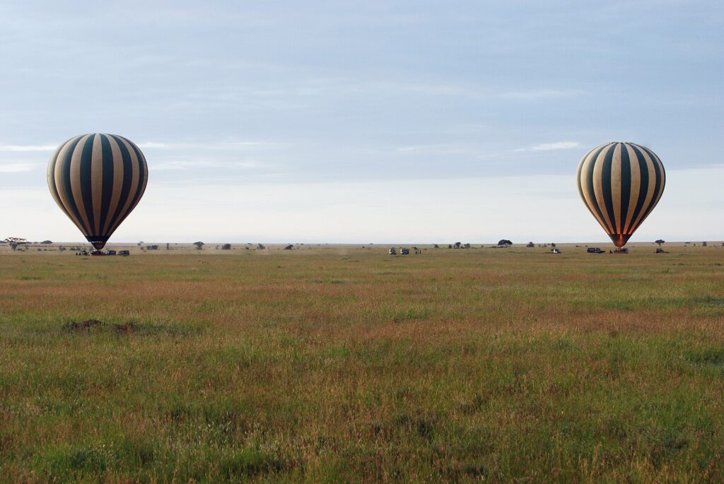 Two striped hot-air balloons land on the green plain in the early morning, with the 4x4s that follow them