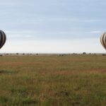 Two striped hot-air balloons land on the green plain in the early morning, with the 4x4s that follow them
