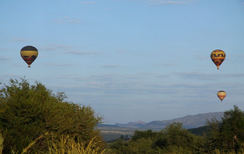 Three yellow and black hot-air balloons float in a pale blue sky above the green bush, the crater hills on the horizon