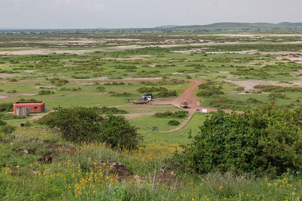 View from Observation Hill over a green plain patched with salt, a red track, three 4x4s parked near a small ocher building, low hills in the distance