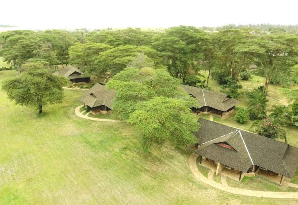 The thatched roofs of Ol Tukai Lodge among the acacias, in Amboseli National Park