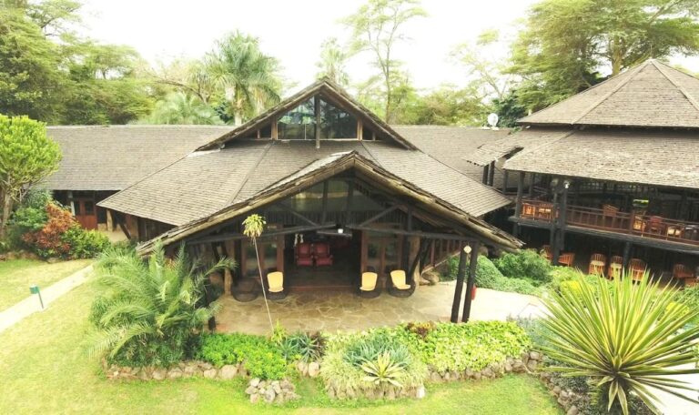 The entrance to a building with a pointed roof, among the palm trees of the garden