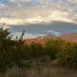 Green bushes and dry grass in front of red hills lit by the evening sun, under a large cloud