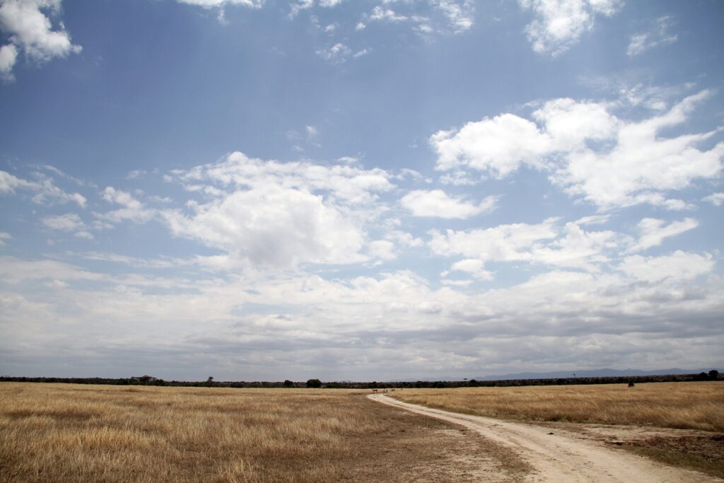 A pale dirt track crosses a plain of dry grass under a big blue sky heavy with clouds, a few antelopes in the distance and hills on the horizon