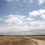 A pale dirt track crosses a plain of dry grass under a big blue sky heavy with clouds, a few antelopes in the distance and hills on the horizon