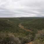 Wide view of hills covered in dense green thicket under a gray sky, with a small pale valley and a dirt track in the middle