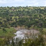 The Tarangire River winds between green banks, with acacias and baobabs covering the hills