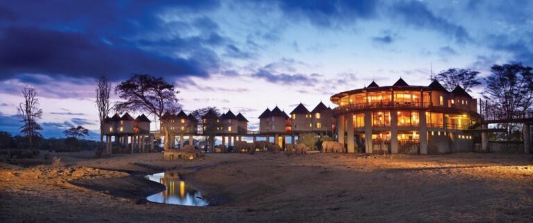 The lodge lit up at nightfall, with elephants at the foot of the towers and a waterhole in the foreground