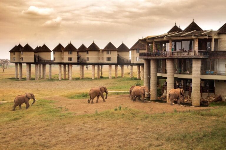 Elephants walking past the foot of the main building on stilts, in front of the row of pointed-roof towers