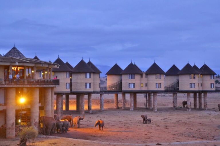 Elephants at the foot of the lodge at dusk, below the lit terrace and the row of towers on stilts