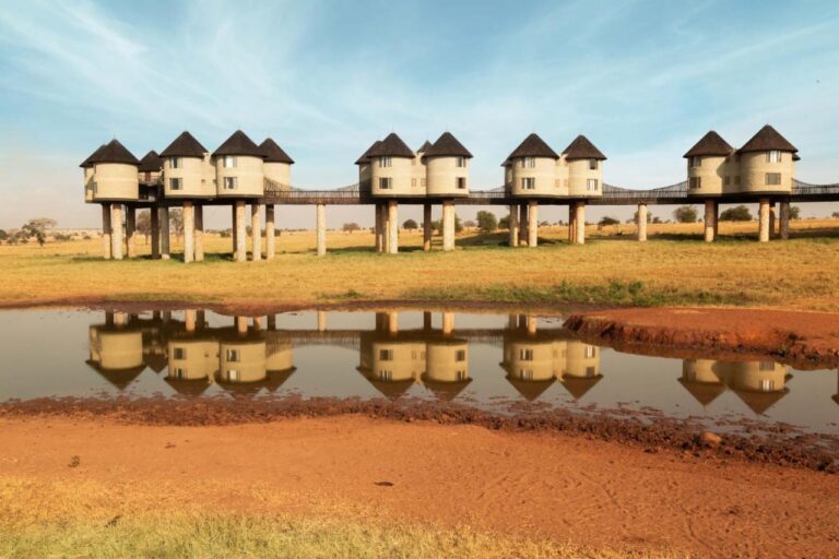 The stilted towers of Salt Lick Safari Lodge, linked by walkways, reflected in a waterhole