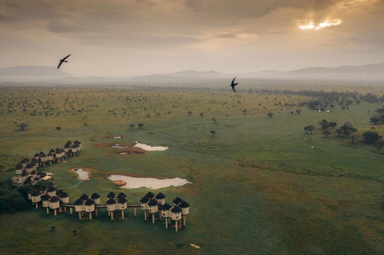 The lodge seen from above, its towers in an arc beside several waterholes, on a green plain