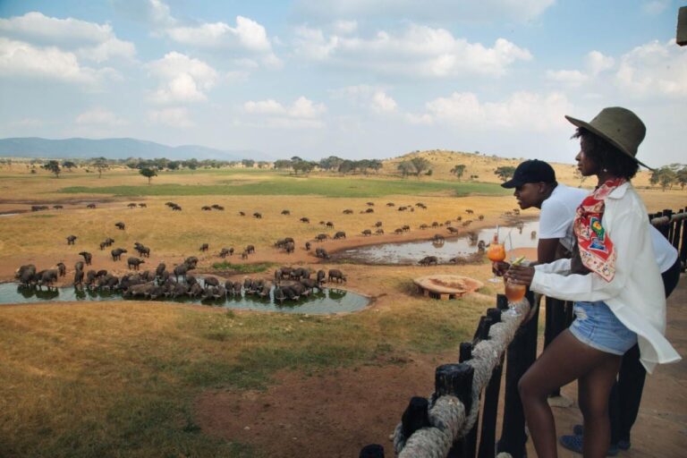 Two travelers leaning on the railing watch a large herd of buffaloes drinking at the waterhole