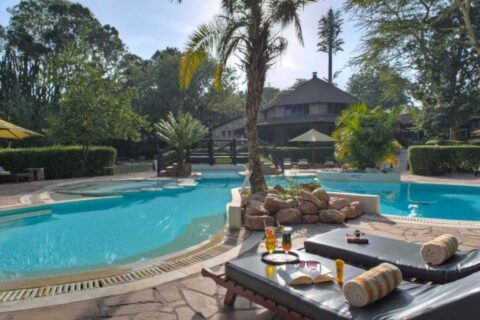 The lagoon-shaped pool at Sarova Mara Game Camp, around a rocky islet with a palm tree