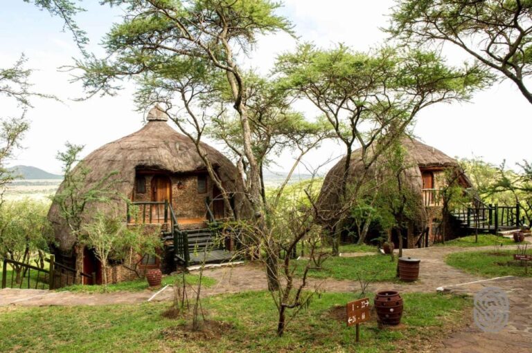 Two round huts at Serengeti Serena Safari Lodge, under their domed thatched roofs, among the acacias