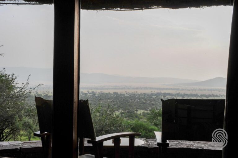 Chairs in silhouette on a covered terrace, facing the wooded plain and the hills in the mist