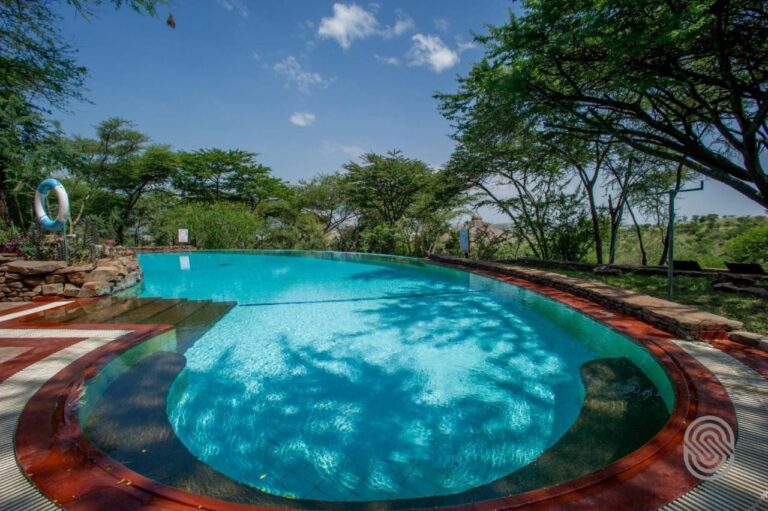 The pool under the acacias, with a life buoy and a dry-stone wall