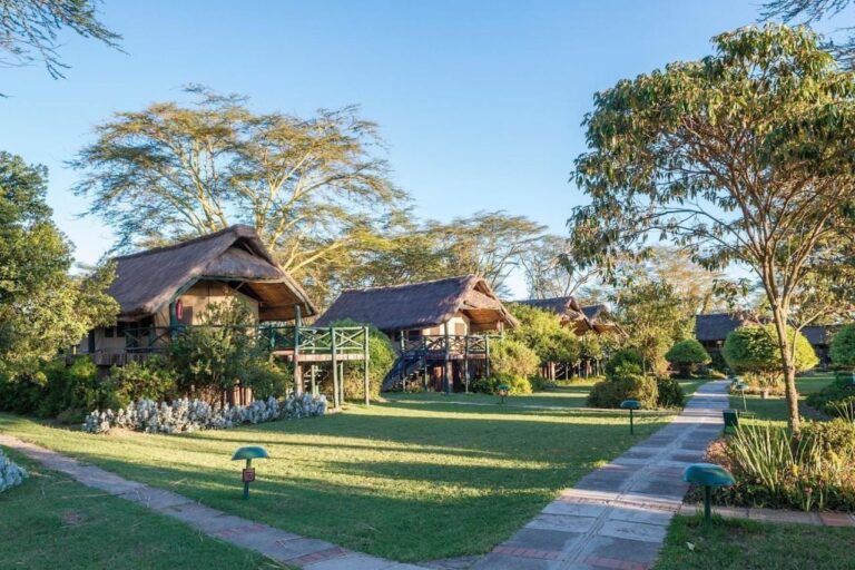 Thatched tents on stilts, beside a lawn and a paved path