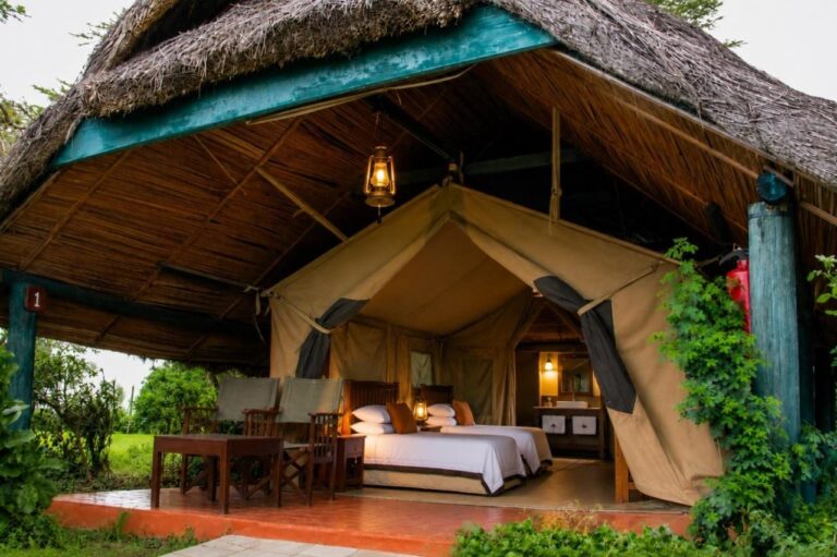 A tent under its thatched shelter, with a terrace furnished with a table and chairs