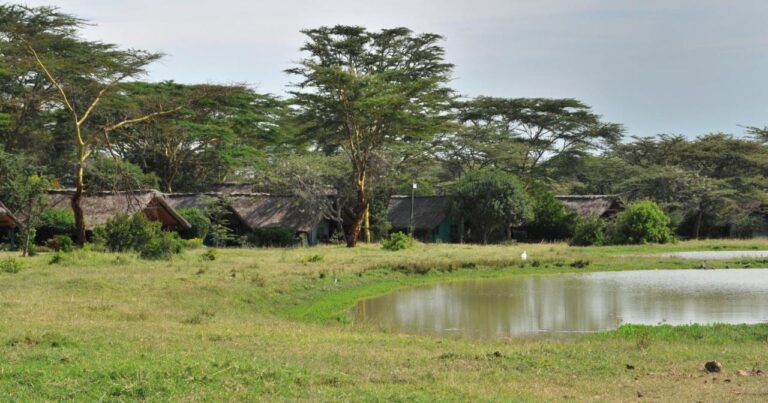 A waterhole in the grassland, in front of the Sweetwaters Serena Camp tents among the acacias