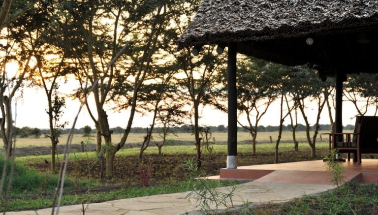 A terrace under a thatched roof, facing the acacias and the plain, at sunset