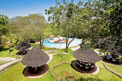 The pool at Tarangire Sopa Lodge and its thatched gazebos, among the trees