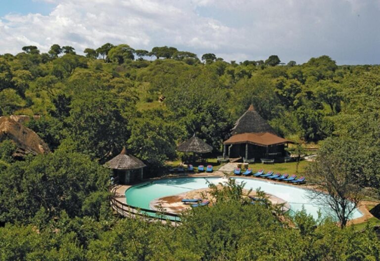 The lodge's pool in the middle of the wooded Tarangire bush