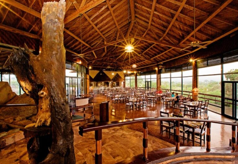 The lodge's restaurant, its tables open to the bush and a tree trunk in the middle