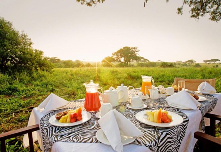 A breakfast table set on a terrace facing the savanna, at sunrise
