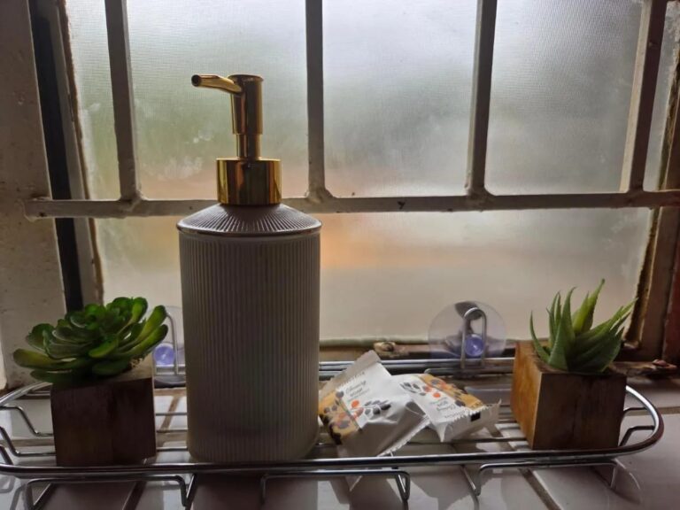 A soap dispenser and two succulents on a windowsill