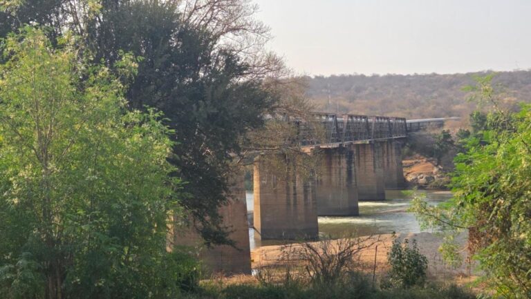 A train on the steel bridge over the Olifants River, seen through the trees on the bank