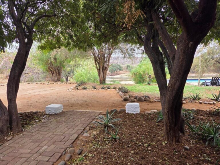 A brick path under the garden trees, leading to the lawn, the pool and the river