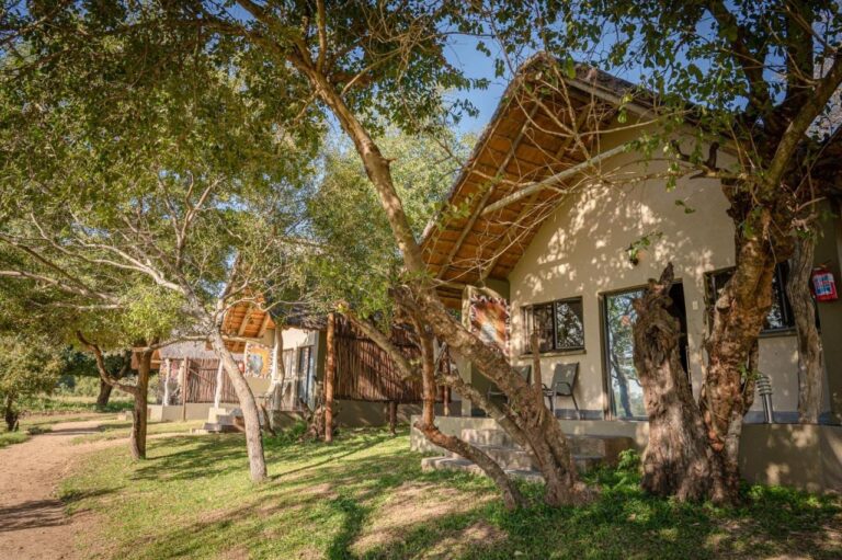Thatched chalets under the trees, along a sandy path